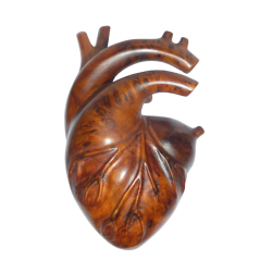 Sculpture anatomique de cœur – cadeaux pour les amoureux; anniversaire