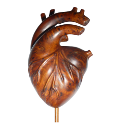Sculpture anatomique de cœur – cadeaux pour les amoureux; anniversaire