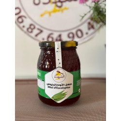 Miel d’Eucalyptus