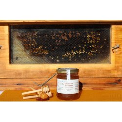 Miel d’Euphorbe 1kg