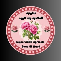 Coopérative Agrieele Oued El Ward